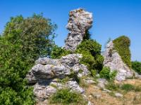 Rauktürme teilweise überwuchert im Grausne Norra Raukgebiet - Lickershamn